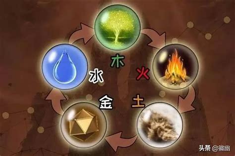 木多金缺|解析：八字木多的人有什么影响？